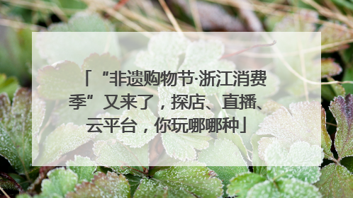 “非遗购物节·浙江消费季”又来了，探店、直播、云平台，你玩哪哪种