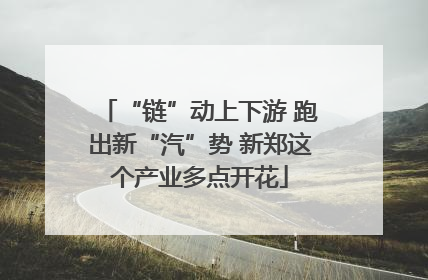 “链”动上下游 跑出新“汽”势 新郑这个产业多点开花