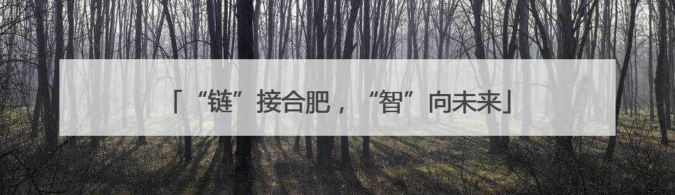 “链”接合肥，“智”向未来