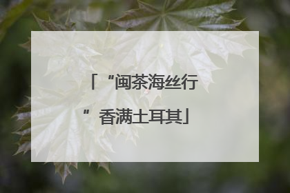 “闽茶海丝行”香满土耳其