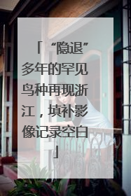 “隐退”多年的罕见鸟种再现浙江，填补影像记录空白