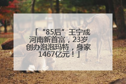 “85后”王宁成河南新首富，23岁创办泡泡玛特，身家1467亿元！