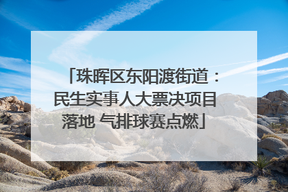 珠晖区东阳渡街道：民生实事人大票决项目落地 气排球赛点燃