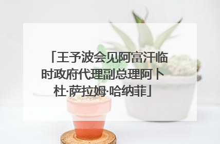 王予波会见阿富汗临时政府代理副总理阿卜杜·萨拉姆·哈纳菲