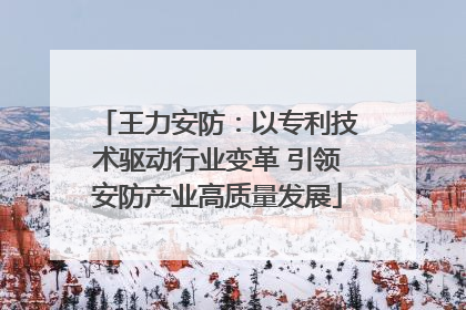 王力安防：以专利技术驱动行业变革 引领安防产业高质量发展