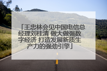 王忠林会见中国电信总经理刘桂清 做大做强数字经济 打造发展新质生产力的强劲引擎