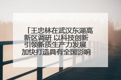 王忠林在武汉东湖高新区调研 以科技创新引领新质生产力发展 加快打造具有全国影响力的科技创新高地