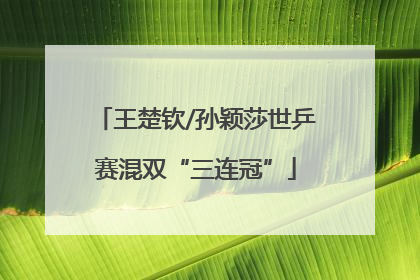王楚钦/孙颖莎世乒赛混双“三连冠”