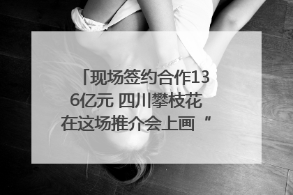 现场签约合作136亿元 四川攀枝花在这场推介会上画“图谱”列“清单”