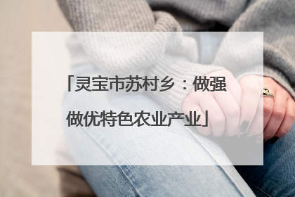 灵宝市苏村乡：做强做优特色农业产业