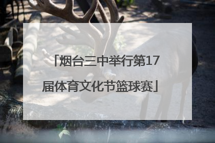 烟台三中举行第17届体育文化节篮球赛