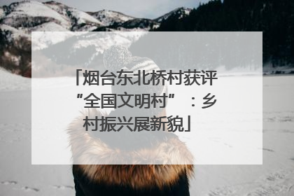 烟台东北桥村获评“全国文明村”：乡村振兴展新貌