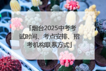 烟台2025中考考试时间、考点安排、招考机构联系方式