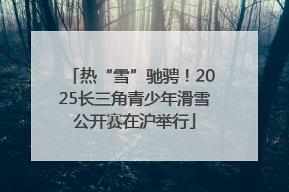 热“雪”驰骋！2025长三角青少年滑雪公开赛在沪举行