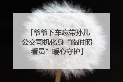 爷爷下车忘带孙儿 公交司机化身“临时照看员”暖心守护