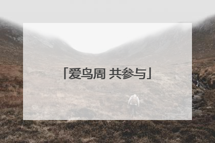 爱鸟周 共参与