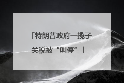 特朗普政府一揽子关税被“叫停”