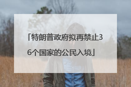 特朗普政府拟再禁止36个国家的公民入境