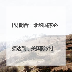 特朗普：北约国家必须达到，美国除外