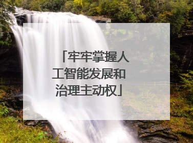 牢牢掌握人工智能发展和治理主动权