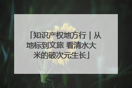 知识产权地方行｜从地标到文旅 看清水大米的破次元生长