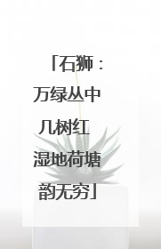 石狮：万绿丛中几树红 湿地荷塘韵无穷