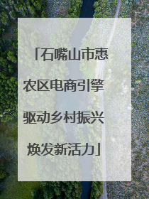 石嘴山市惠农区电商引擎驱动乡村振兴焕发新活力