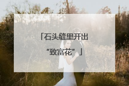 石头缝里开出“致富花”