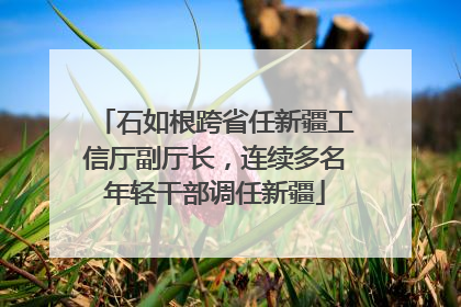 石如根跨省任新疆工信厅副厅长，连续多名年轻干部调任新疆