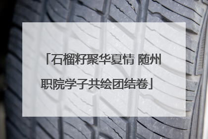 石榴籽聚华夏情 随州职院学子共绘团结卷