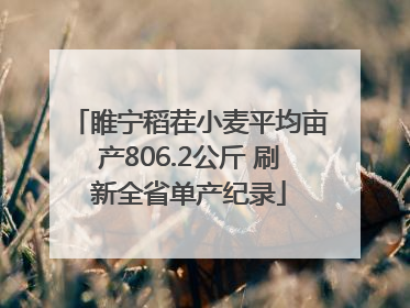 睢宁稻茬小麦平均亩产806.2公斤 刷新全省单产纪录