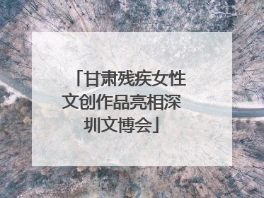 甘肃残疾女性文创作品亮相深圳文博会