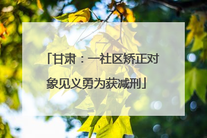甘肃：一社区矫正对象见义勇为获减刑