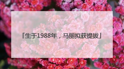 生于1988年，马丽拟获提拔