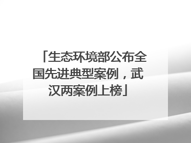 生态环境部公布全国先进典型案例，武汉两案例上榜