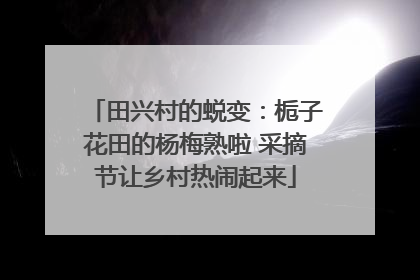 田兴村的蜕变：栀子花田的杨梅熟啦 采摘节让乡村热闹起来