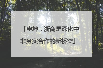申坤：浙商是深化中非务实合作的新桥梁