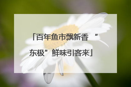 百年鱼市飘新香 “东极”鲜味引客来