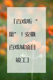 百戏听“巢”！安徽百戏城项目竣工