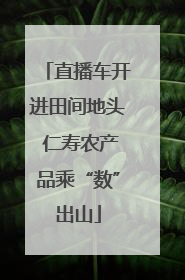 直播车开进田间地头 仁寿农产品乘“数”出山