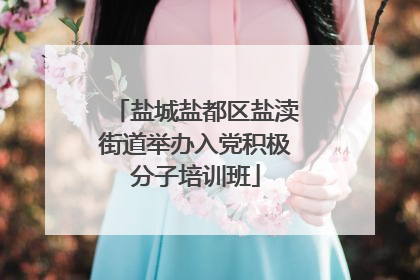 盐城盐都区盐渎街道举办入党积极分子培训班