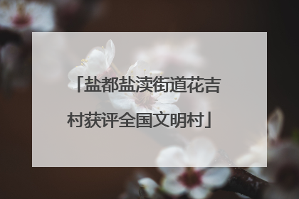 盐都盐渎街道花吉村获评全国文明村