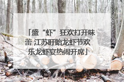 盛“虾”狂欢打开味蕾 江苏盱眙龙虾节欢乐龙虾宴热闹开席