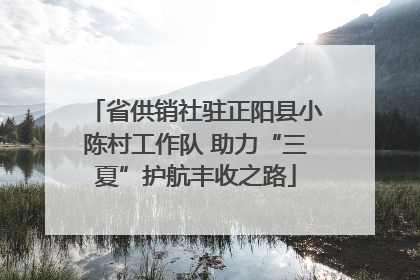 省供销社驻正阳县小陈村工作队 助力“三夏”护航丰收之路