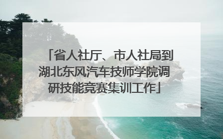 省人社厅、市人社局到湖北东风汽车技师学院调研技能竞赛集训工作