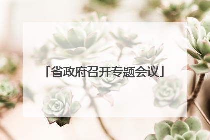 省政府召开专题会议