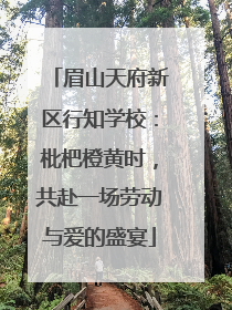 眉山天府新区行知学校：枇杷橙黄时，共赴一场劳动与爱的盛宴