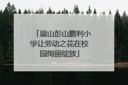 眉山彭山鹏利小学让劳动之花在校园绚丽绽放