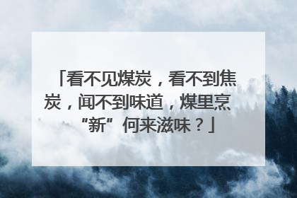 看不见煤炭，看不到焦炭，闻不到味道，煤里烹“新”何来滋味？