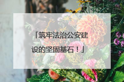 筑牢法治公安建设的坚固基石！
